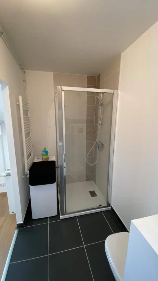 Апартаменты Magnifique Studio Avec Terrasse Et Garage Chens-sur-Leman Экстерьер фото